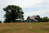 Shack