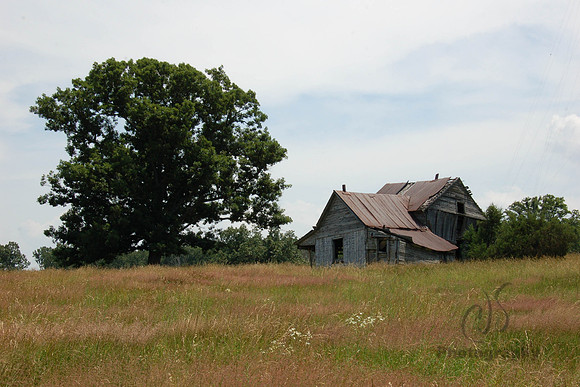Shack