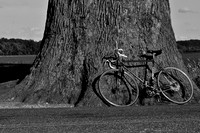 Ancient Bike Stand