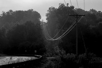 Electrons