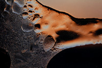 Window Frost