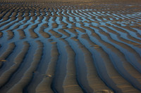 Cape Cod Beach
