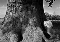 Tree-Razzo communes