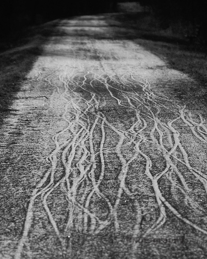 Frozen Tracks