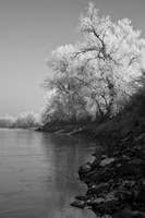 River Fost