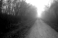 MKT in Fog