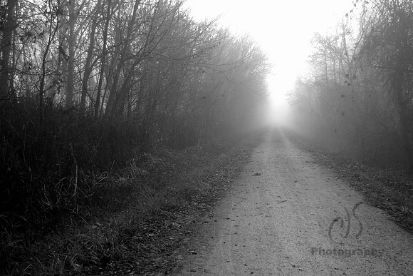 MKT in Fog