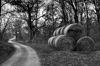 roadside bales2