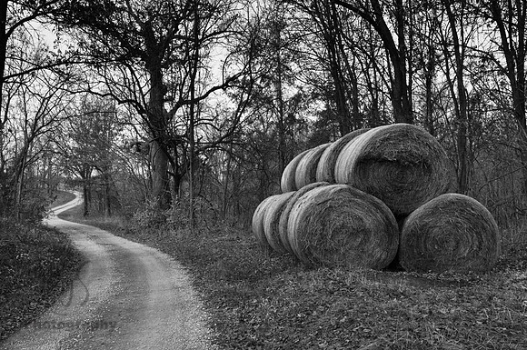 roadside bales2